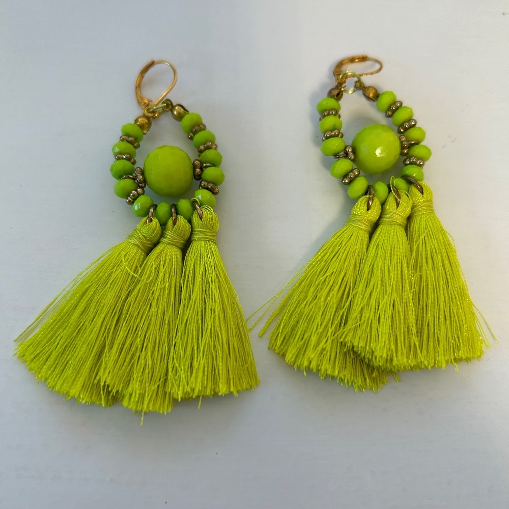 Dangle Tassel Earrings